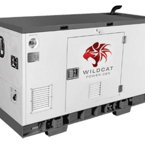 Wildcat Freedom 10kW Diesel Generator 120/240 Volts | FE0010D4ASXP