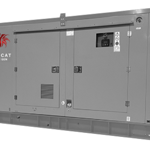 Wildcat Sentinel 30kW Diesel Generator 120/240 Volts Single Phase | SE0030D3ASXE