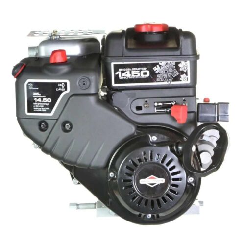 Briggs Stratton 20M312 3007 F1 Snow Engine